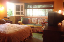 Beautiful house, great location