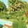 Enjoy the Private Colorful Tropical Yard