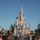 Only minutes from all Disney Parks