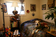 Stay with actual Sightline Intern!
