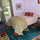 Your quiet, clean bedroom with comfy easy chair.  Wifi reception is good all over the house.