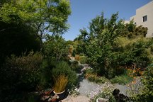 Garden Suite