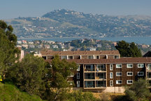 Hillside Apartment Above Sausalito