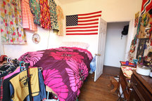 Sunny room with Tree-Lined View