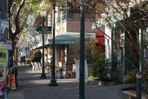 Berkeley Garden Home: Fourth St Joy