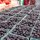 Farm Stands, Farm Markets, meet farmers who can help you for your CSA!