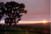  The Tree House - Black Cabin