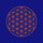 Flower of Life in Bliss Room