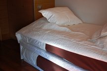 Puedes ver en sofidel.com