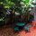 Apartment in the french quarter