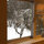 Vegan Bed & Breakfast Cottage 