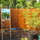 The Bamboo Shower is an Experience in Paradise