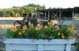 Farm House