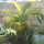 A Piece of Our Paradise in Kailua