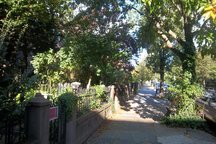Carroll Garden Historical District2