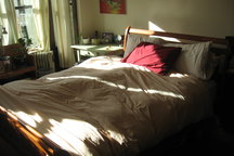 Amazing Apartment in Lower Haight