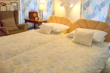 Carlton Seamill B&B - Ainslie Room