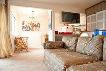 Sunny 1B1ba Loft. DTC, CUmed, LRail