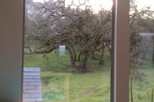 Indoor/Outdoor retreat in Petaluma