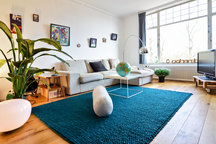 Super light apt at Vondelpark!