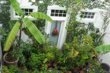 Apt with 2 bedrooms,2 baths,kitchen