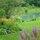 Nice swimable pond