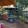 Your private rear yard (kids' sand box not shown)