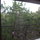 Welcome to your nature preserve! Enjoy the retreat.