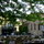 Saint-Emilion