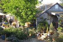 Wine Country Cottage 