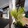 Sunset Cliffs Studio
