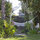 Hammock with Rose Arbor