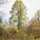 Blue Ridge Mountain "Yurt" B & B