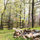 Blue Ridge Mountain "Yurt" B & B