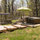 Blue Ridge Mountain "Yurt" B & B
