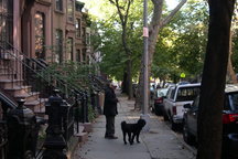 Quiet adorable 2-bedroom brownstone