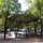 LA FENETRE SUR  LE PARC