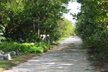 Mariposa Campsites~Edge Wilderness