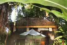 Green T House