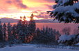 Flathead Lake by the Night!!