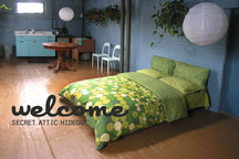 secret attic hideout