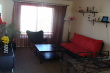 Great house for the Summer - Albany