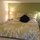 Sleep alcove with springtime duvet /sheets.