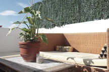 *3 Bdrm,entire flat, large terrace*