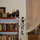 lovely plants, lots to read, kitchen beyond...