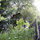 Treehouse Overlooking SF Bay