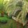 garden house on island