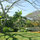 Jade Lily-Luxury Treetop Bungalow! 