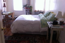 Beautiful One Bedroom in Brooklyn