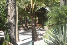 BEACHFRONT PALM VILLA At the beach!